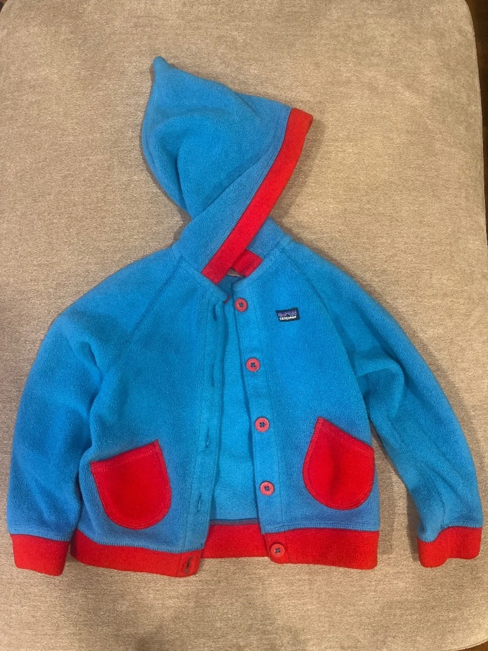 Patagonia kids jacket fleece button up